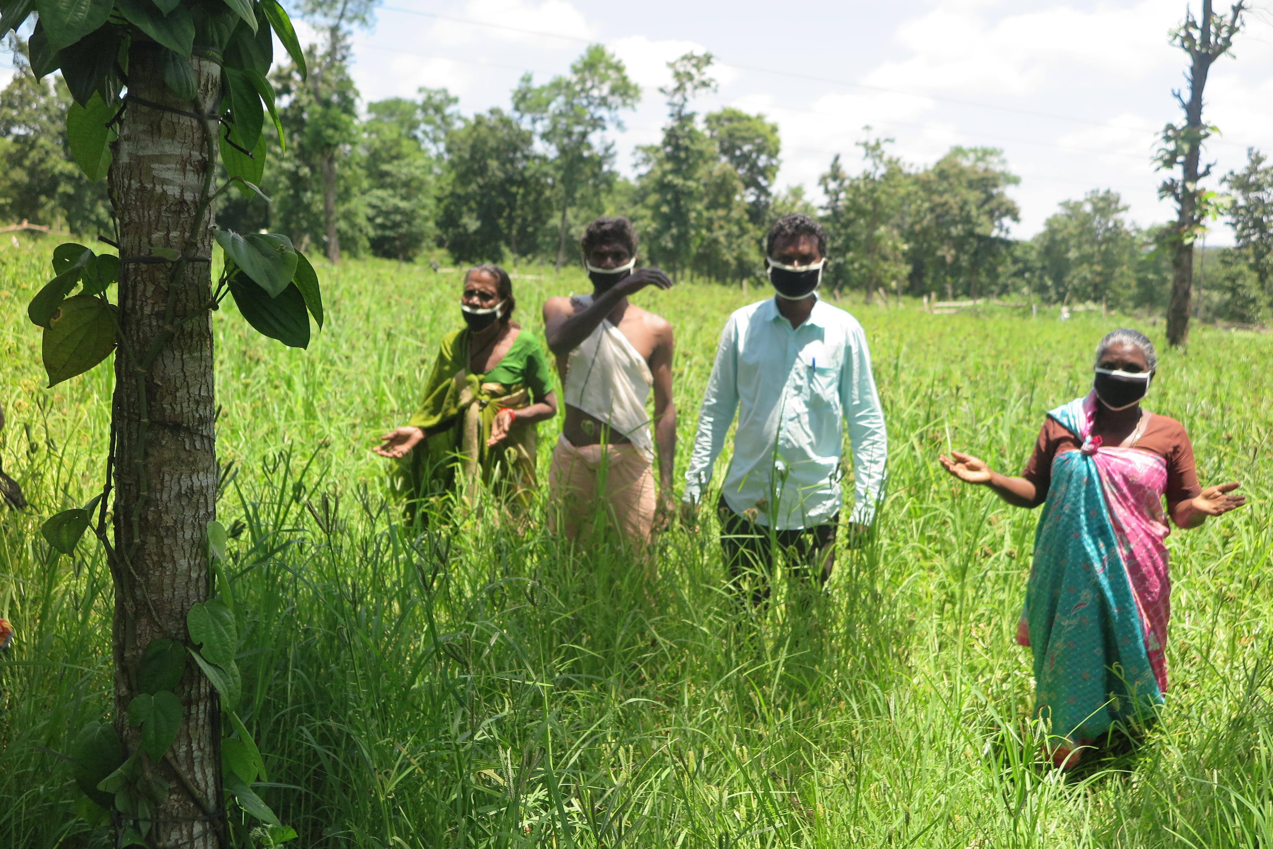 Landwirtschaft zur Selbstversorgung erweist sich in der Coronakrise als hilfreich.