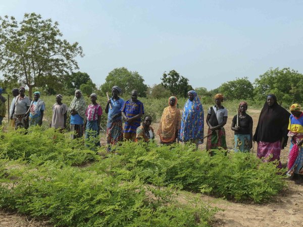 Burkina Faso ASD 2022