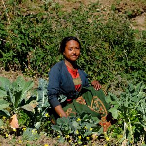 Eine projektbegünstigte Bäuerin aus Nepal kniet in einem Feld. Die Landwirtschaft spielt eine zentrale Rolle, um den Hunger zu reduzieren.