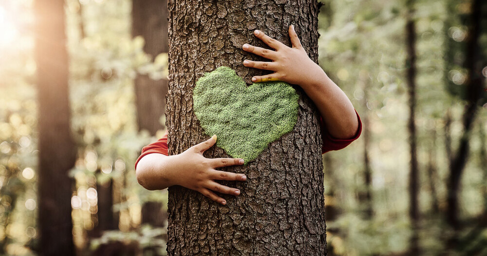 Beitrag_Newsletter_Faires Lager_low_1200x630