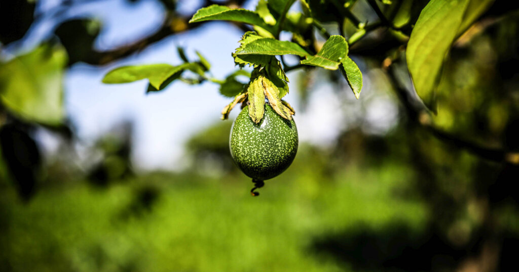 Beitrag 1_UN-Ernährungsbericht_edit_low_1200x630